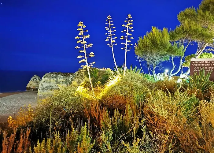 Appartement Jeni Residencia Flamingo